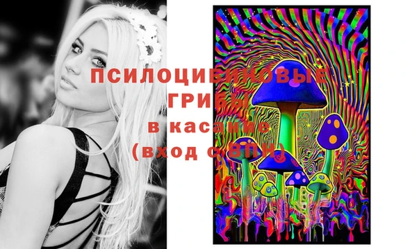 мяу мяу мука Мегион