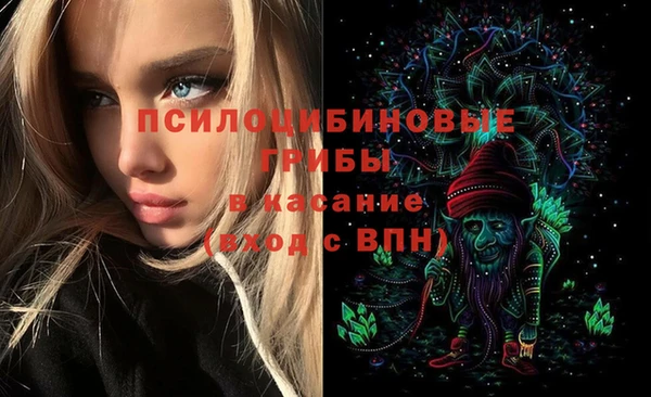 герыч Медногорск