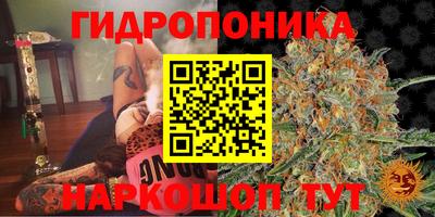 дурь Волгодонск