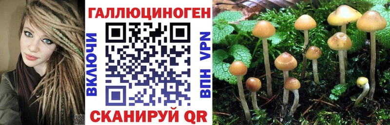 blacksprut ссылка  Норильск  Галлюциногенные грибы MAGIC MUSHROOMS  что такое наркотик 