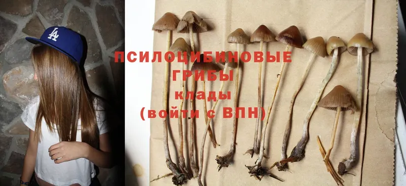 Галлюциногенные грибы MAGIC MUSHROOMS  Норильск 