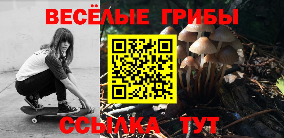 Псилоцибиновые грибы ЛСД Норильск